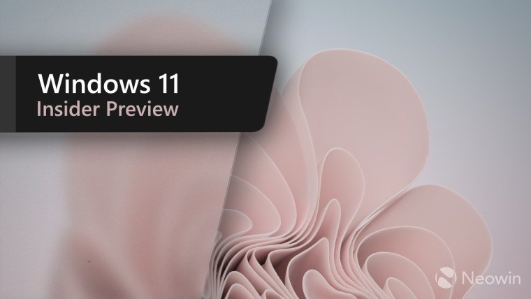 Windows 11